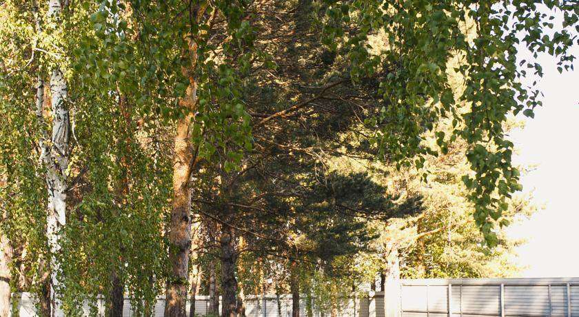 Гостиница Парк-Отель Аквариум Кемерово-65